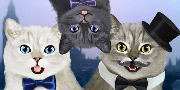 Dapper Cats